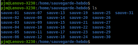 bin sauvegarde linux
