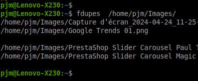 fdupes exemple usage